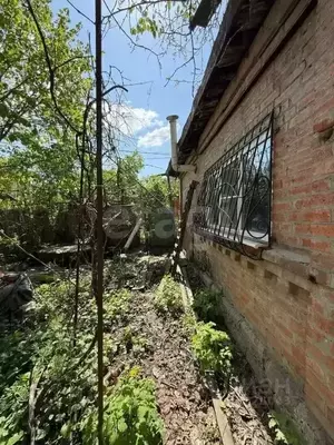 Фото к объявлению #22288949