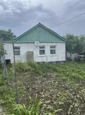 Фото к объявлению #21050548