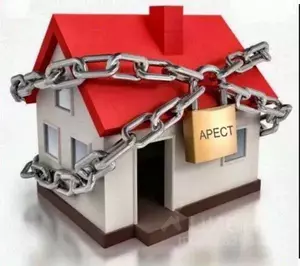 Фото к объявлению #21923309