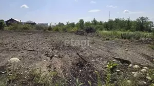 Фото к объявлению #22172640