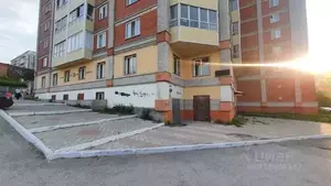 Фото к объявлению #22258642