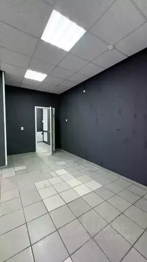 Фото к объявлению #22241727