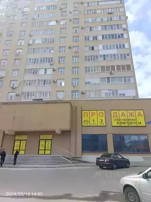 Фото к объявлению #22193488