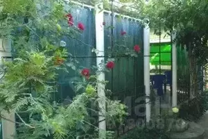 Фото к объявлению #22093995
