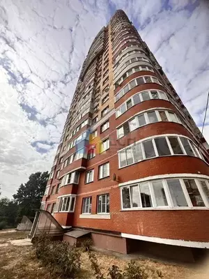 Фото к объявлению #21117498