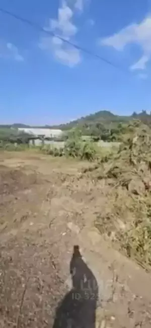 Фото к объявлению #22254884