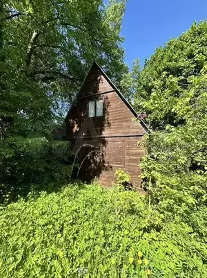 Фото к объявлению #20438392