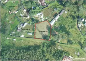 Фото к объявлению #22244593