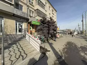 Фото к объявлению #21966159