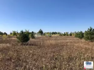 Фото к объявлению #21387079