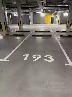 Фото к объявлению #22239045