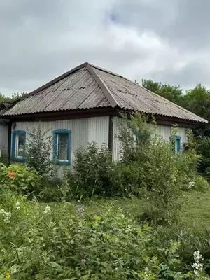 Фото к объявлению #20521952