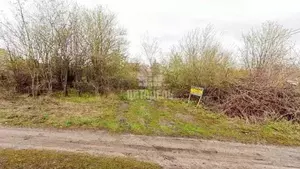 Фото к объявлению #20333423