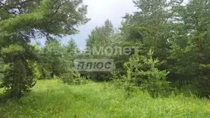 Фото к объявлению #22277071