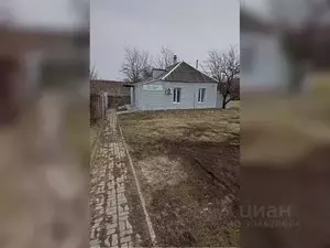 Фото к объявлению #20640373