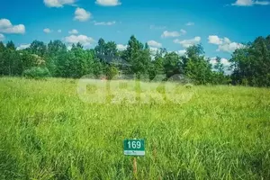 Фото к объявлению #22004667