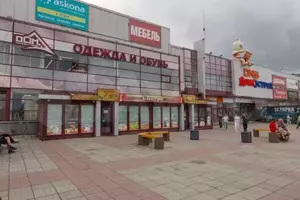 Фото к объявлению #21152496
