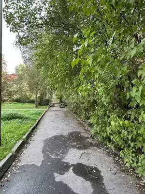 Фото к объявлению #21204358