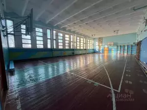 Фото к объявлению #21839800
