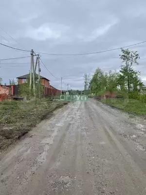 Фото к объявлению #21449427