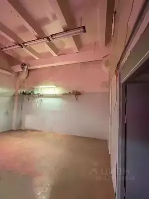 Фото к объявлению #22255216