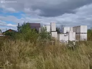 Фото к объявлению #22165697