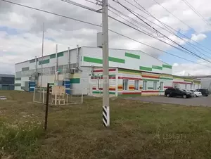 Фото к объявлению #21256102