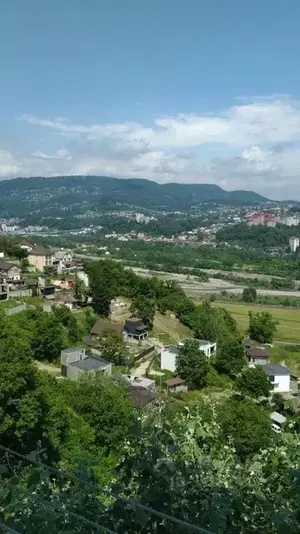 Фото к объявлению #22175734