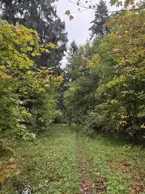 Фото к объявлению #22197835