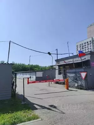 Фото к объявлению #21269556