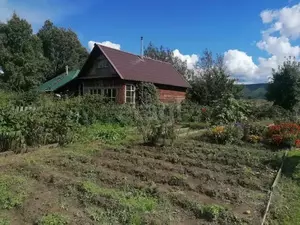 Фото к объявлению #22156944