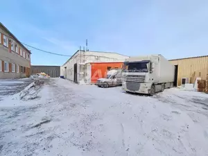 Фото к объявлению #21741220