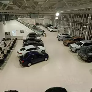 Фото к объявлению #