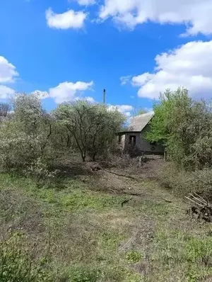 Фото к объявлению #22240520