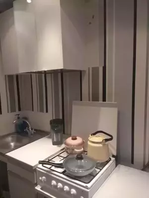 Фото к объявлению #22210538