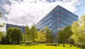 Фото к объявлению #19885867