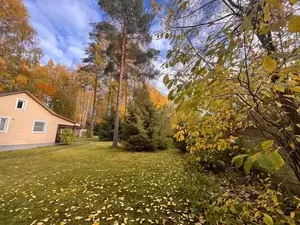 Фото к объявлению #21341498