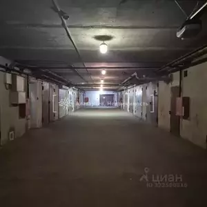 Фото к объявлению #22224152