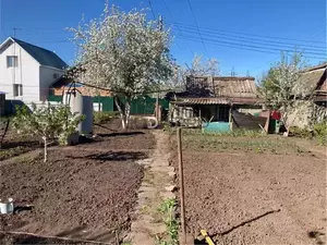 Фото к объявлению #22159876