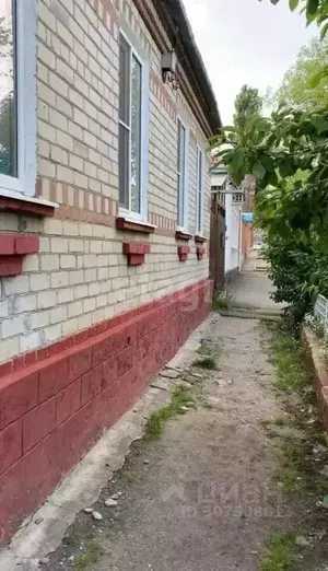 Фото к объявлению #21147499