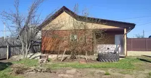 Фото к объявлению #20256824