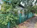 Фото к объявлению #