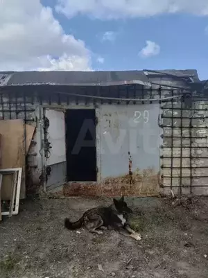 Фото к объявлению #20417249