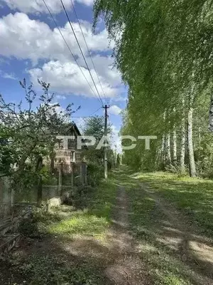 Фото к объявлению #20823618