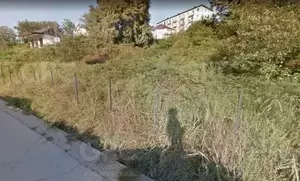 Фото к объявлению #21066511