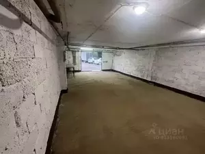 Фото к объявлению #22203102