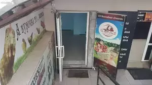 Фото к объявлению #22193738