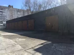 Фото к объявлению #22153097