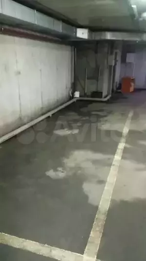 Фото к объявлению #20444239