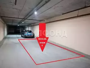 Фото к объявлению #22252558